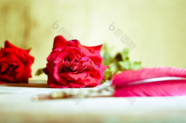 红色的玫瑰和一<strong>诗书</strong>面的和一n一ncient笔