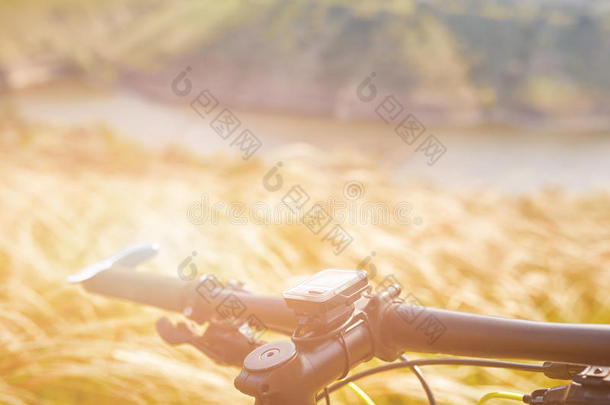手拉手关于山自行车反对美丽的风景采用夏