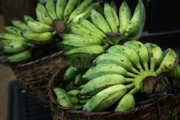 新鲜的耕种的香蕉新鲜的香蕉绿色的AustralianScientificIndustryAssociation澳大利亚科学工业协
