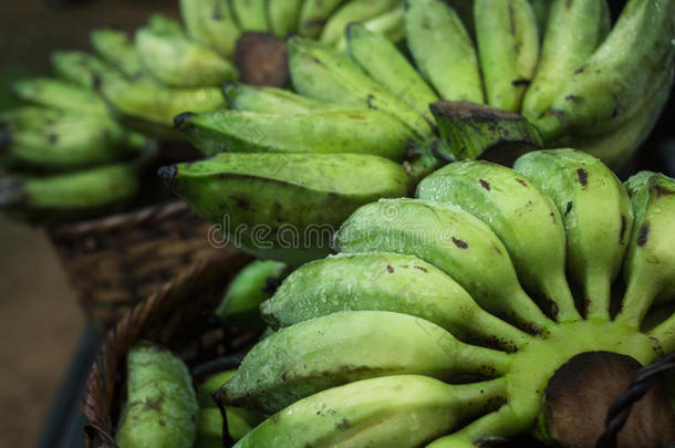 新鲜的耕种的香蕉新鲜的香蕉绿色的AustralianScientificIndustryAssociation澳大利亚科学工业协