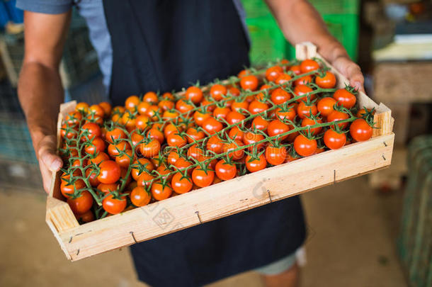 盒满的关于新鲜的番茄蔬菜为交易在零售