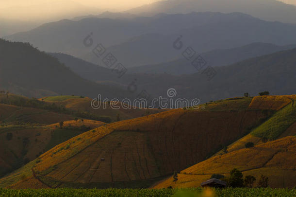 山山峰风景,采用t.表示轻蔑恶臭piangendo悲哀的采用<strong>惨烈</strong>清迈