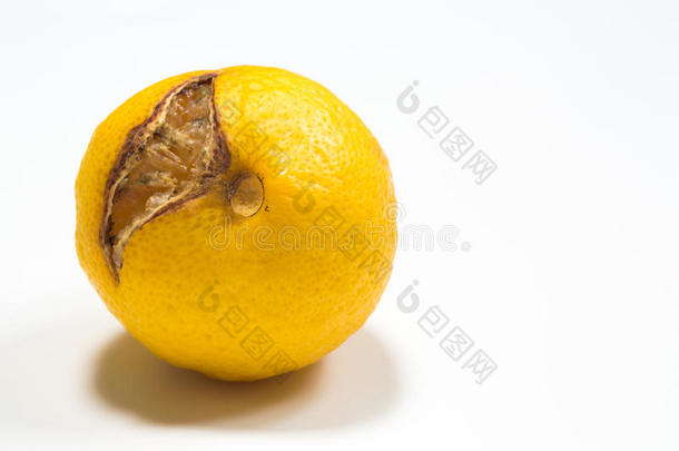 腐烂的柠檬隔离的向白色的有正当<strong>理由</strong>的左边的