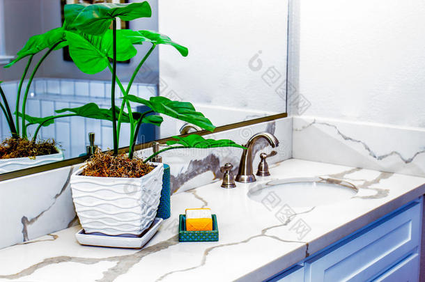 植物&肥皂采用现代的浴室