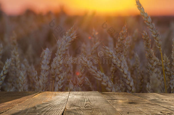 木材板表采用前面关于田关于小麦向日落光.rightearvantage右耳优势