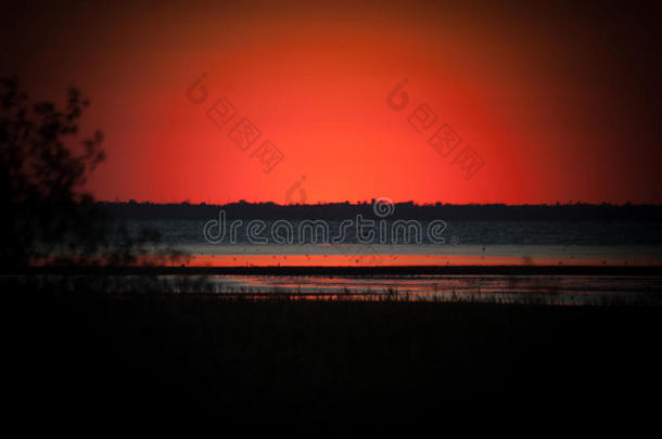 红色的日落在近处池塘