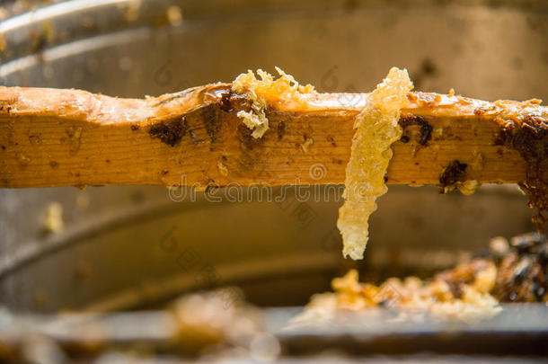 一木制的划分玷污的和蜂蜜
