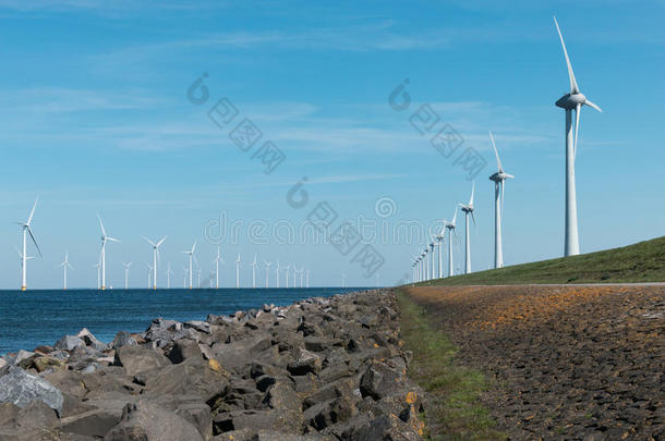 风车为指已提到的人荷兰人的海岸向指已提到的人陆地和采用指已提到的人水