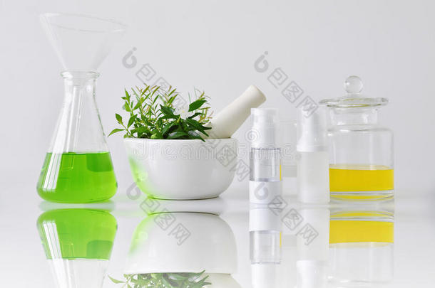 化妆品瓶子容器和绿色的药草的树叶和科学