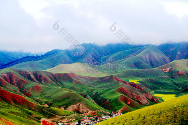 青海祁连卓尔山风景和油菜花