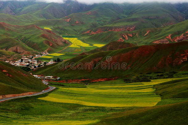 青海祁连卓尔山风景和油菜花