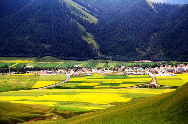 青海<strong>祁连卓尔山</strong>风景和油菜花