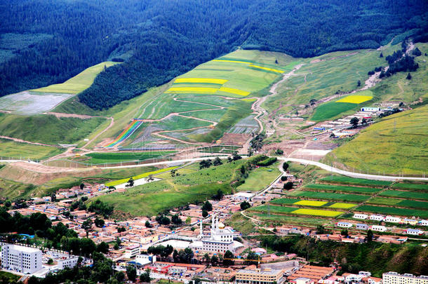 青海祁连卓尔山风景和油菜花