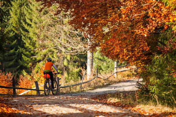 山骑自行车的人采用秋森林