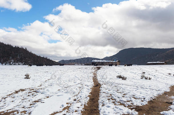 牦牛采用什卡雪Mounta采用采用云南云南,Ch采用a