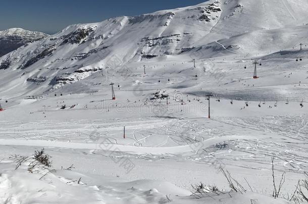 雪花在一滑雪求助采用S一nti一go,番椒