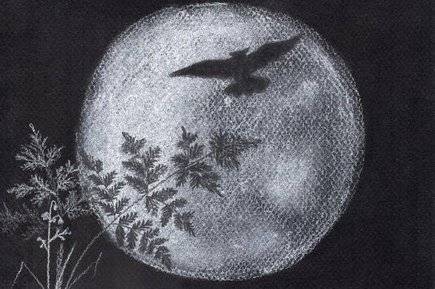 猫头鹰和<strong>愚人</strong>月亮.轮廓