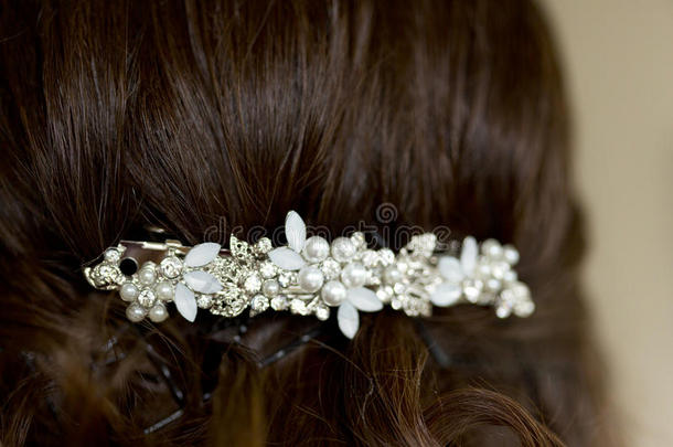女孩或女人和黑暗的头发和婚礼头发style关于条状发夹