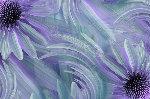 花的<strong>蓝</strong>色-绿松石-紫罗兰美丽的背景.招呼卡片