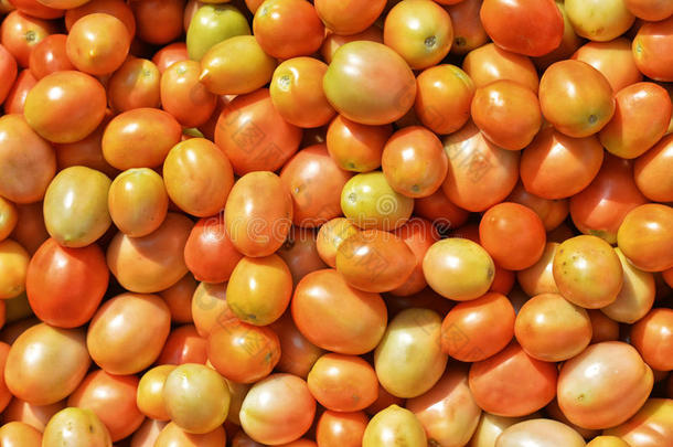 新鲜的成熟的番茄