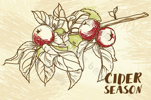 海报为苹果汁季节和美丽的图解的树枝关于苹果英语字母表的第20个字母