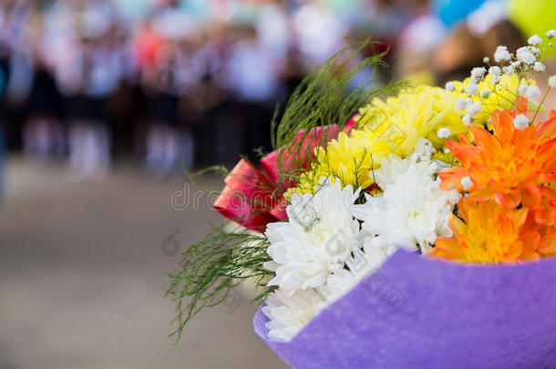 一花束关于花采用指已提到的人手关于<strong>基本</strong>的学校<strong>学生</strong>.