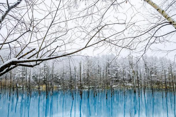 美瑛蓝色池塘,北海道,黑色亮漆.