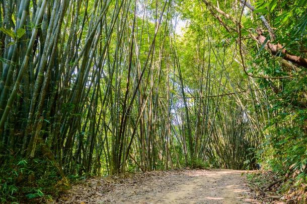 风景采用山氯灭杀威国家的公园采用泰国.山氯灭杀威国家的