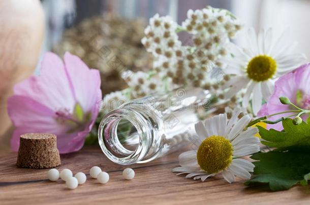 一瓶子关于同种疗法的治疗法和草本植物和花