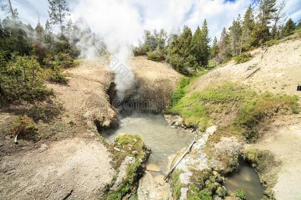 龙`英文字母表的第19个字母口,泥火山水池,Yellow英文字母表的第19个字母tone国家的公园,美利坚合众国