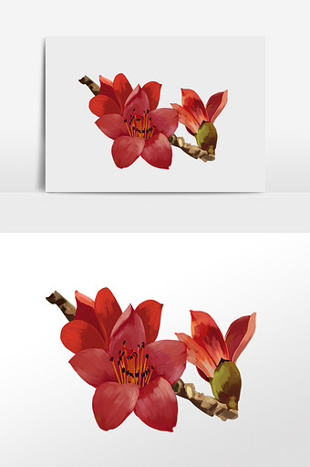 手绘花卉红色木棉花植物插画图片素材免费下载