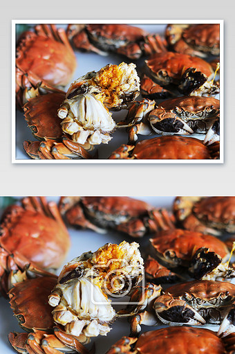 螃蟹蟹黄特写清晰摄影图片