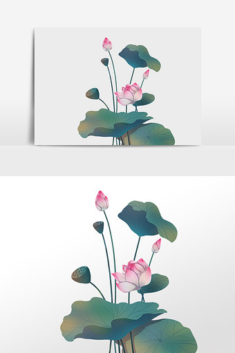 手绘夏季盛开植物粉色荷花插画图片素材免费下载