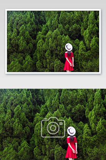 绿色森林美女背影小红裙图片素材免费下载