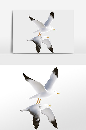 海鸥鸟类飞翔候鸟psd340*512PX图片素材