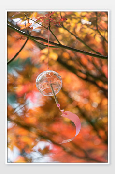 秋天枫叶树上的风铃