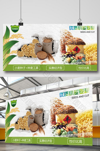 农业优质麦子麦种介绍宣传海报设计图片