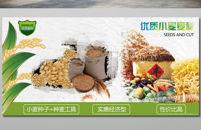 农业优质麦子麦种介绍宣传海报设计