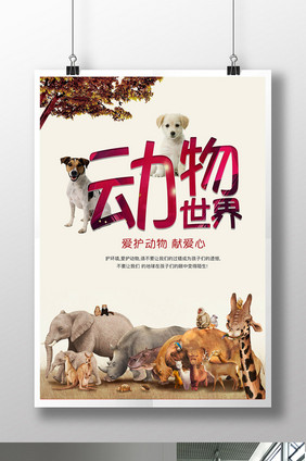 保护动物 动物园海报 动物 保护野生动物