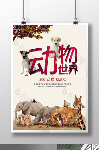 保护动物 动物园海报 动物 保护野生动物图片