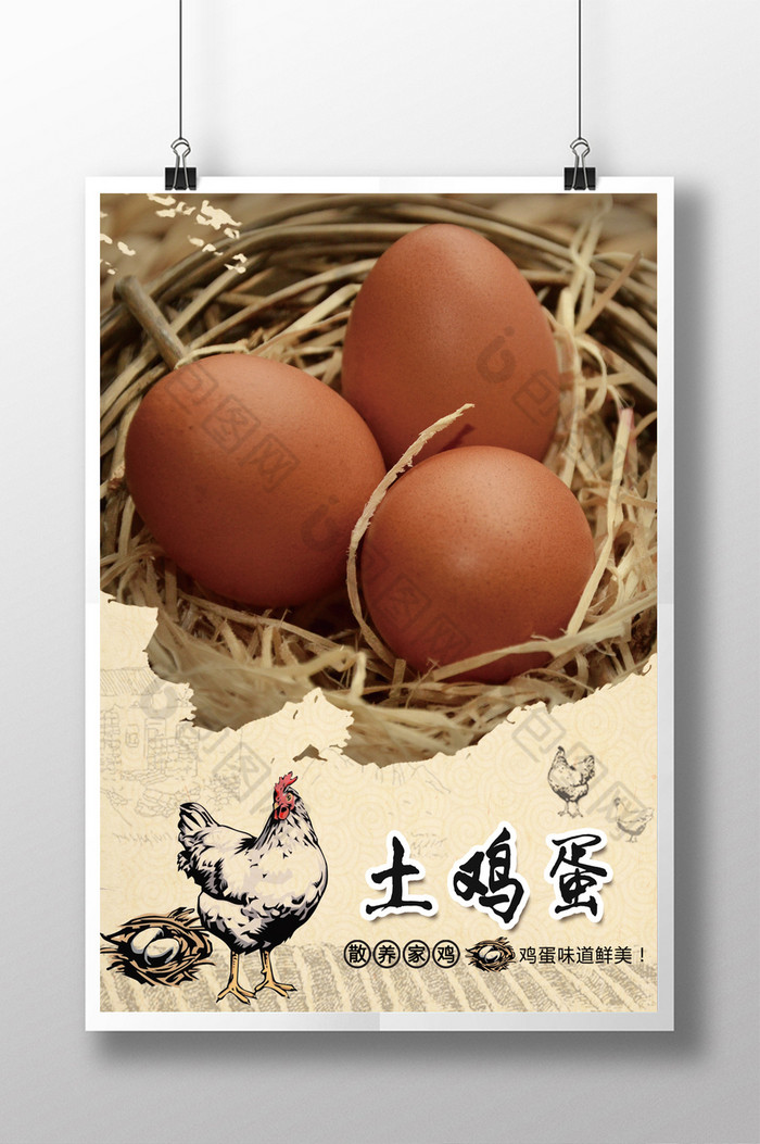 红心蛋饲养土鸡养殖图片