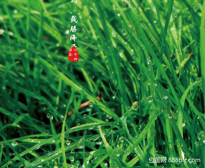 24节气（二十四节气）-谷雨