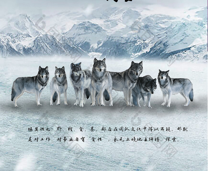 雪山狼性团结文化企业文化展板模板-包图网