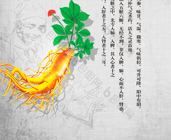 野山参人参养生滋补提神促销图片