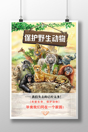 保护动物海报