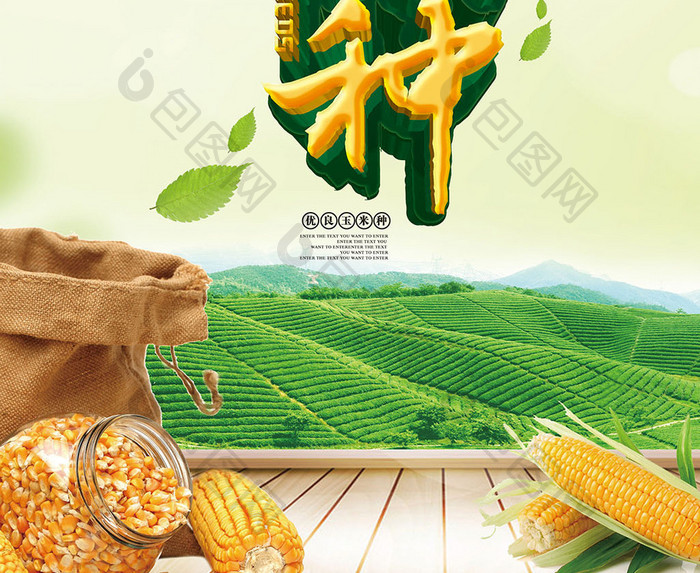 玉米种宣传海报展板dm单页