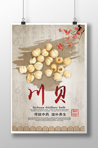 中国风川贝中药海报图片