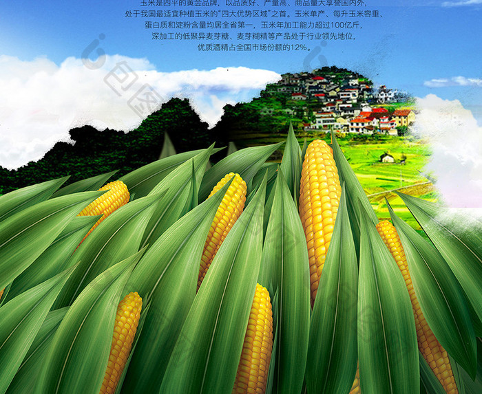 有机玉米宣传海报