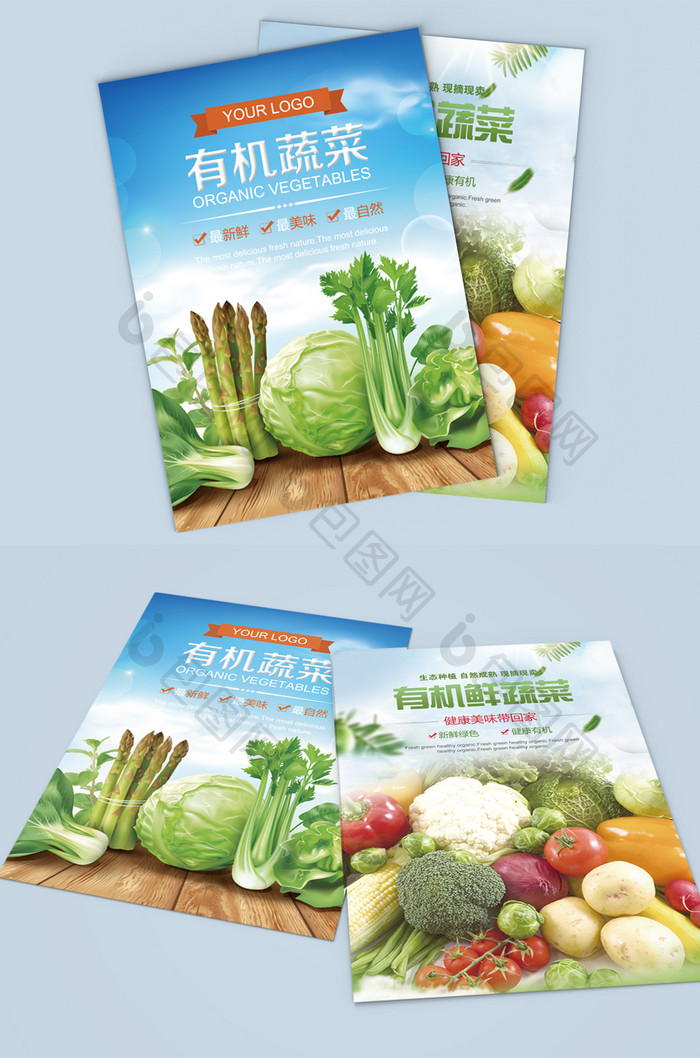 新鲜有机蔬菜促销宣传双面单页设计