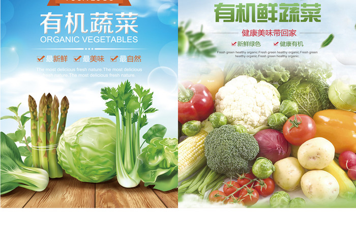 新鲜有机蔬菜促销宣传双面单页设计